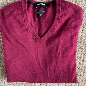 Express V-neck sweater small